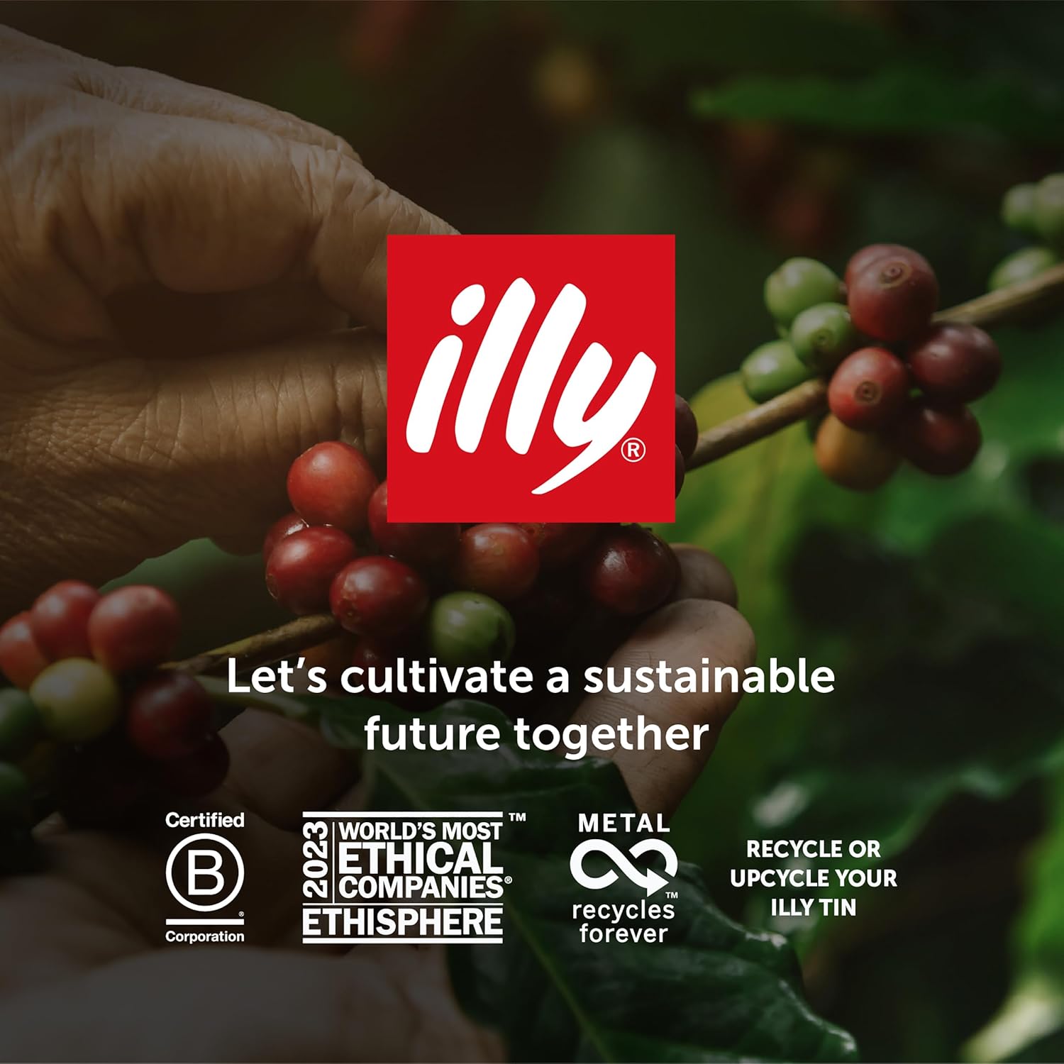 illy Brazil Coffee Beans – Medium Roast Arabica 250g